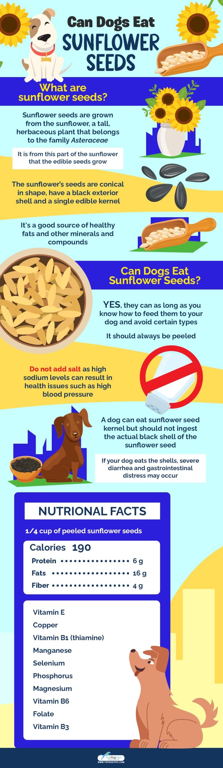 Dogs Eat Sunflower Seeds 