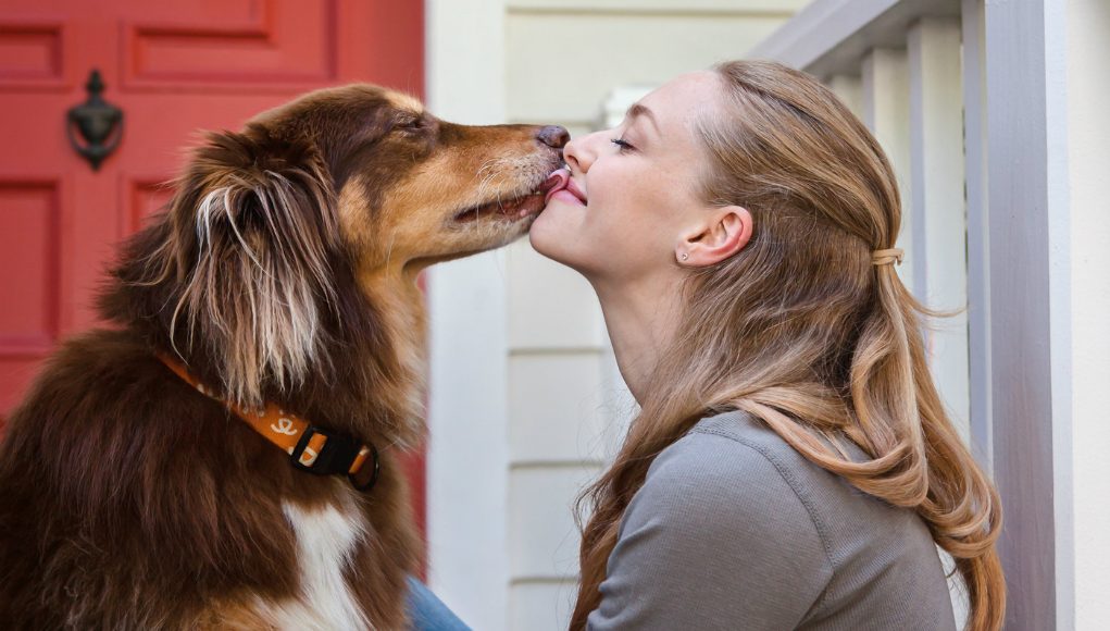 Bow Wow! 15 Hollywood Celebrities and their Dogs