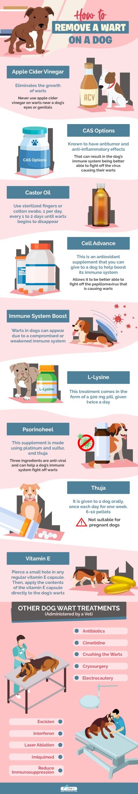 Dog Wart Removal Infographic