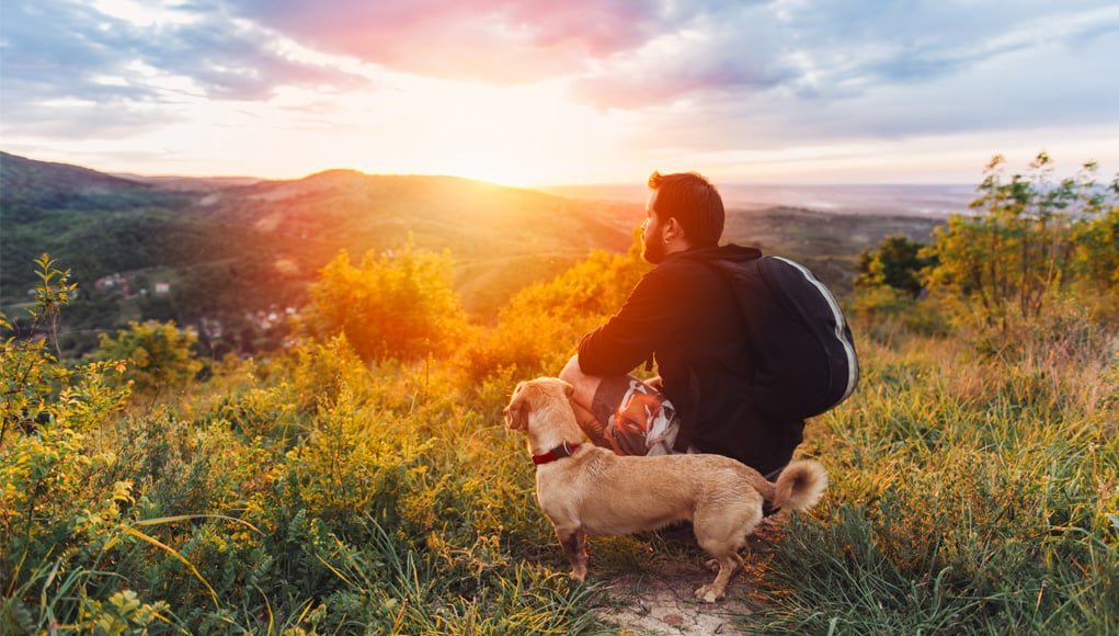 Dog-friendly Vacation Destinations