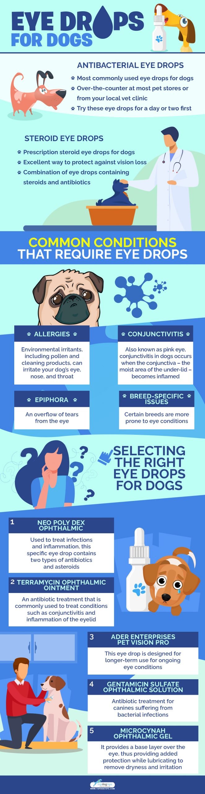 Eye Drops for Dogs 