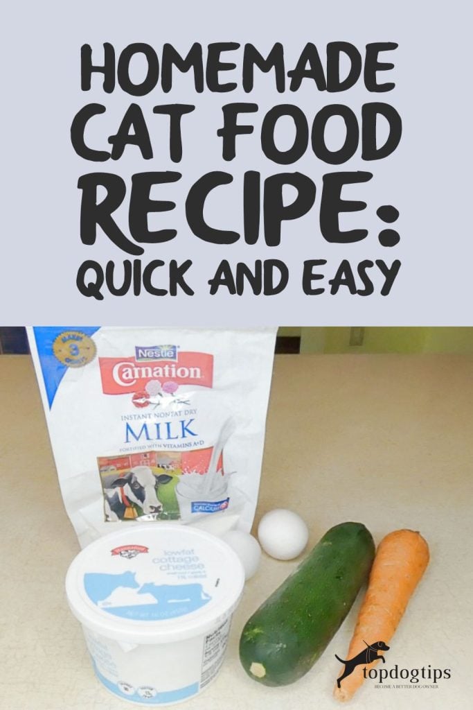 Homemade Cat Food Recipe