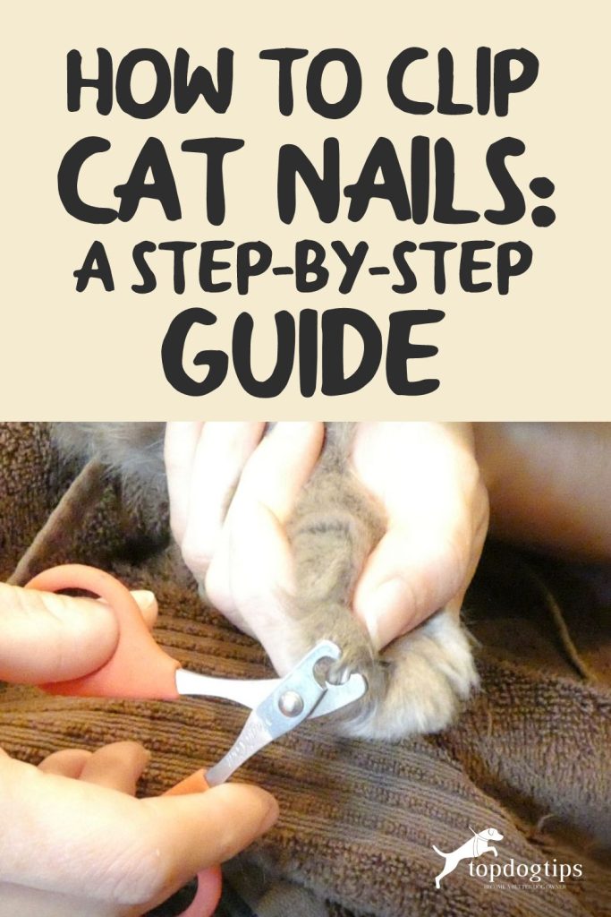 Clip Cat Nails