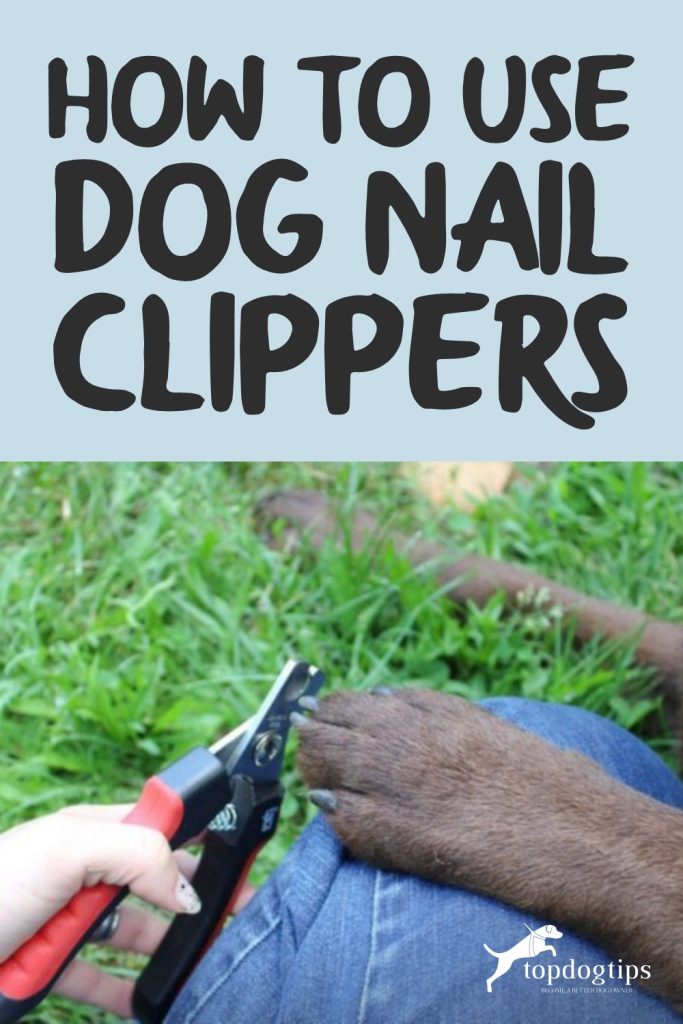 Dog Nail Clippers