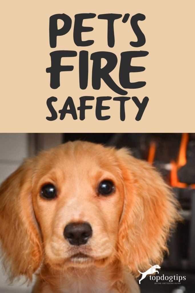 Pet Fire Safety