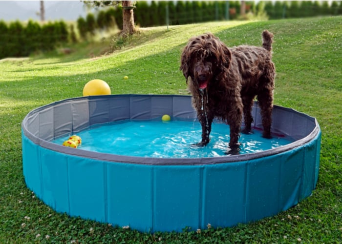 Foldable pool with easy entrance