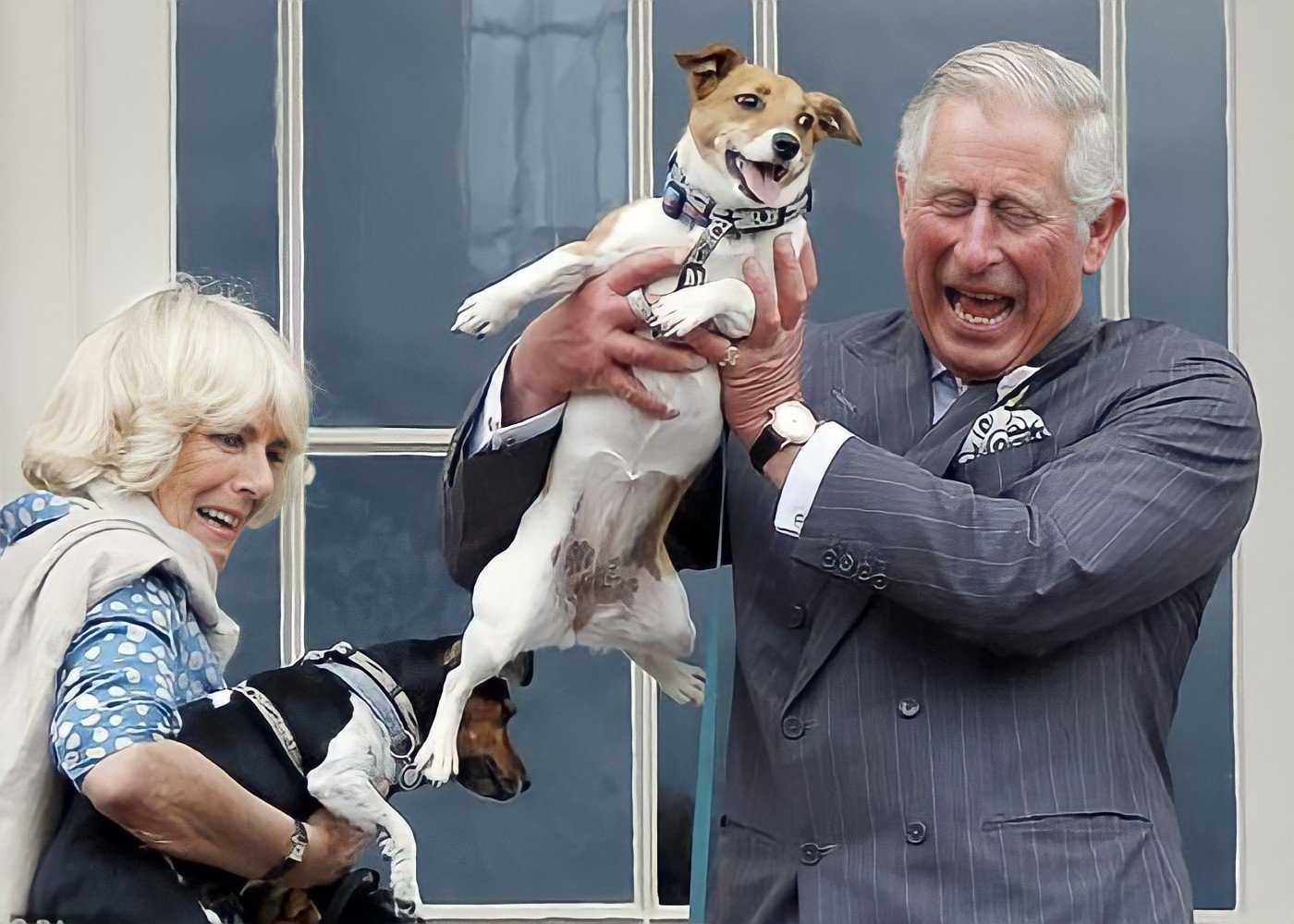 Camilla, Duchess of Cornwall, with Charles, Prince of Wales, and Jack Russel Terrier Dogs, Beth, and Bluebell