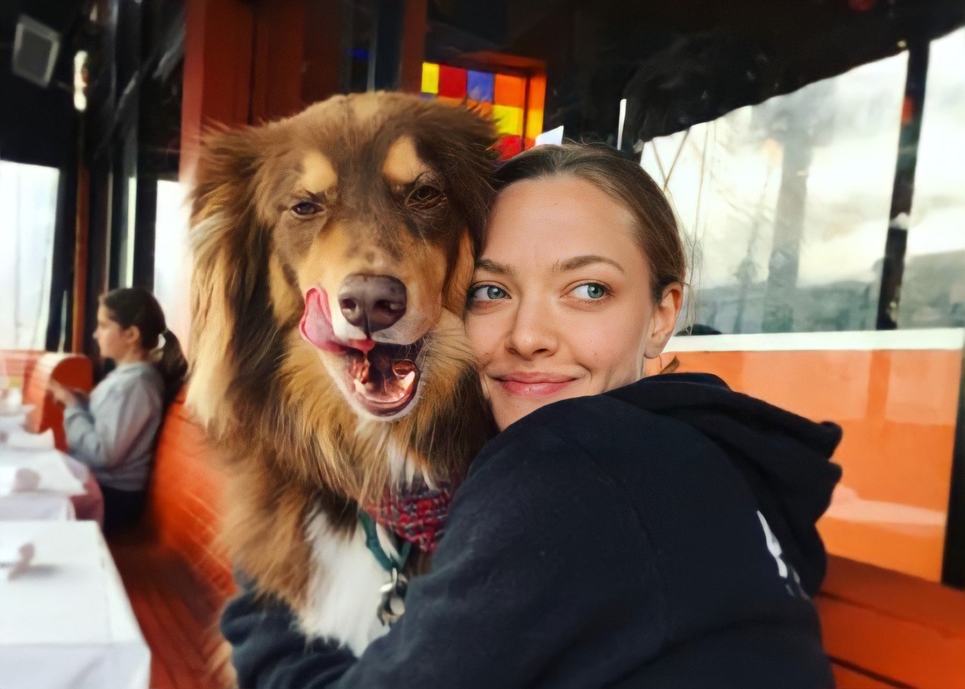 Amanda Seyfried and Her Shepherd-Collie Mix, Finn