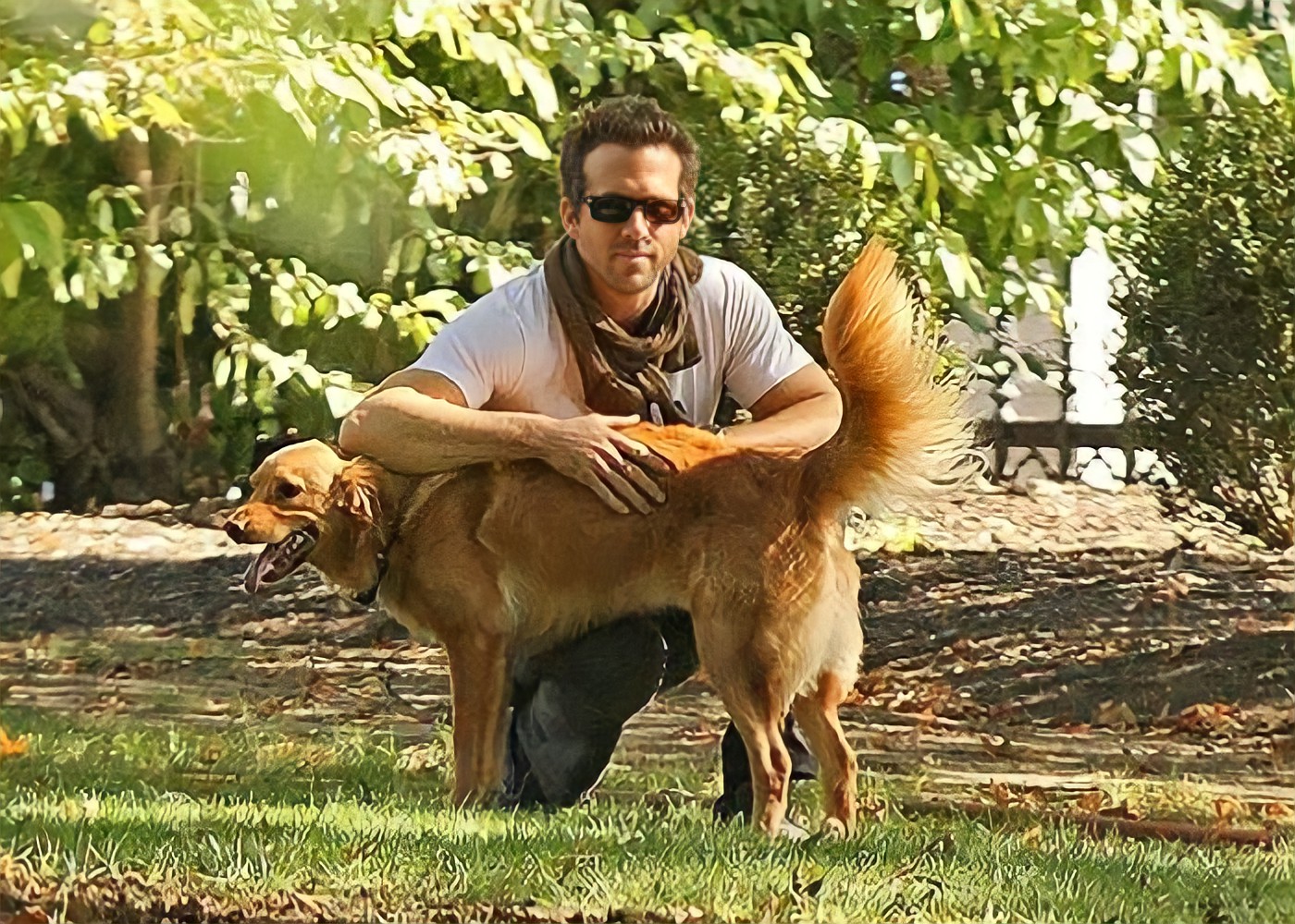 Ryan Reynolds and His Golden Retriever, Baxter