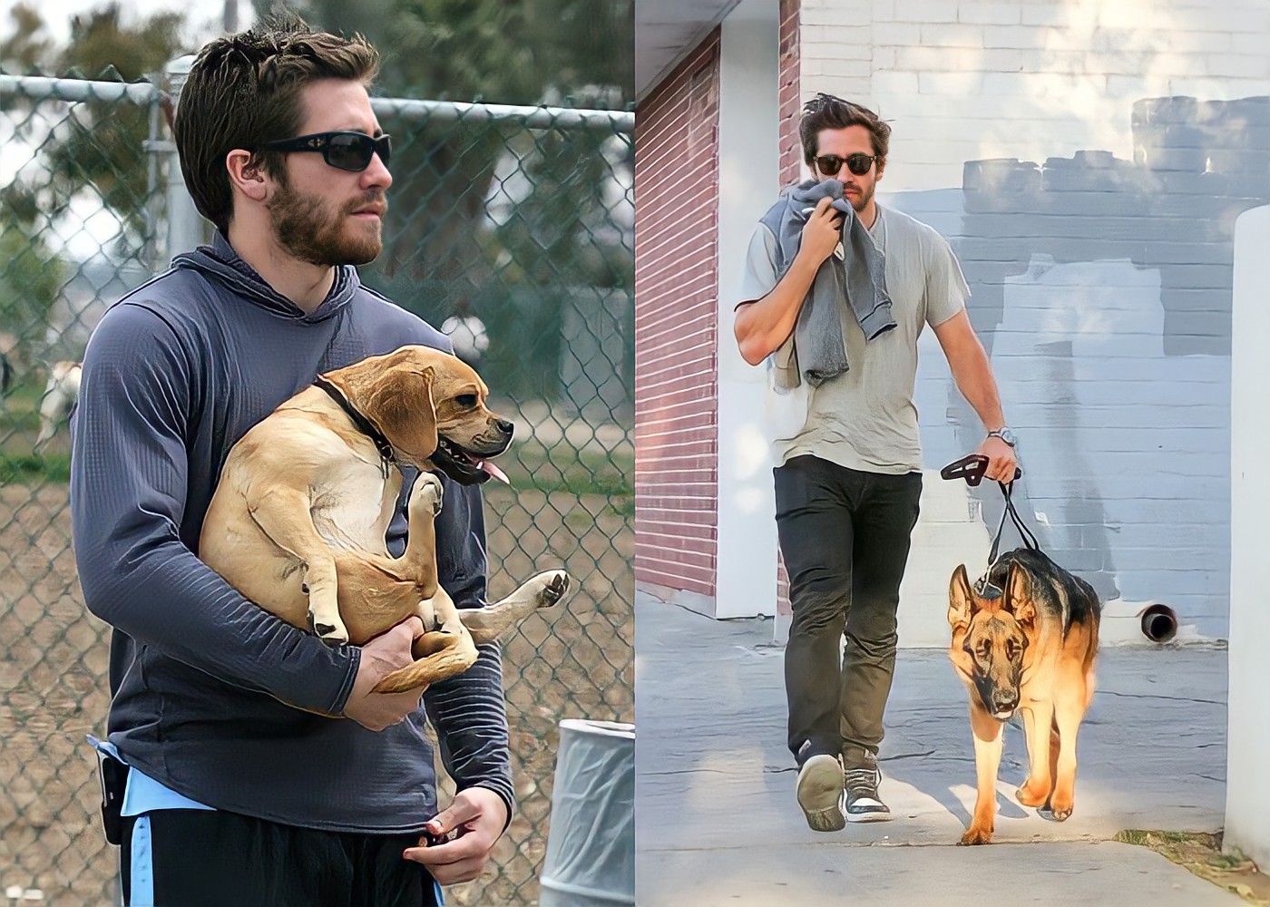 Jake Gyllenhaal and Dogs Boo Radley and Atticus