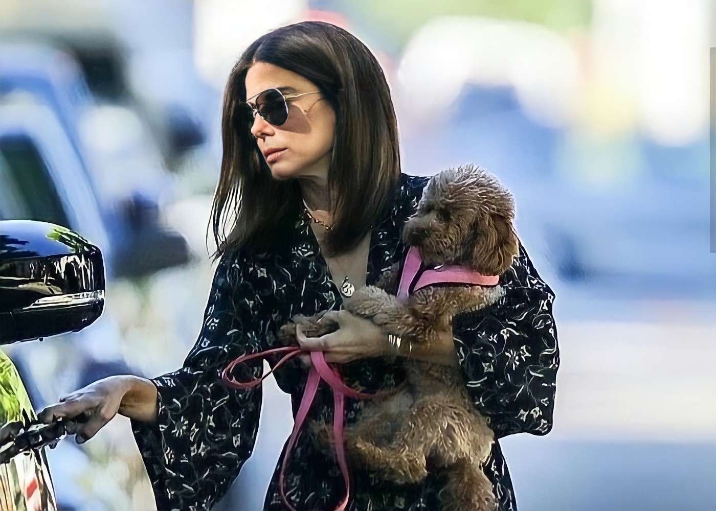 Sandra Bullock and Toy Poodle, Sweetie