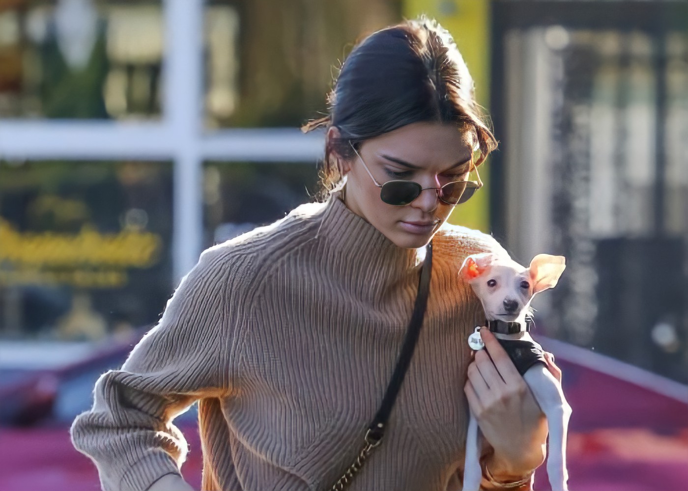 Kendall Jenner and Her Italian Greyhound, Mew