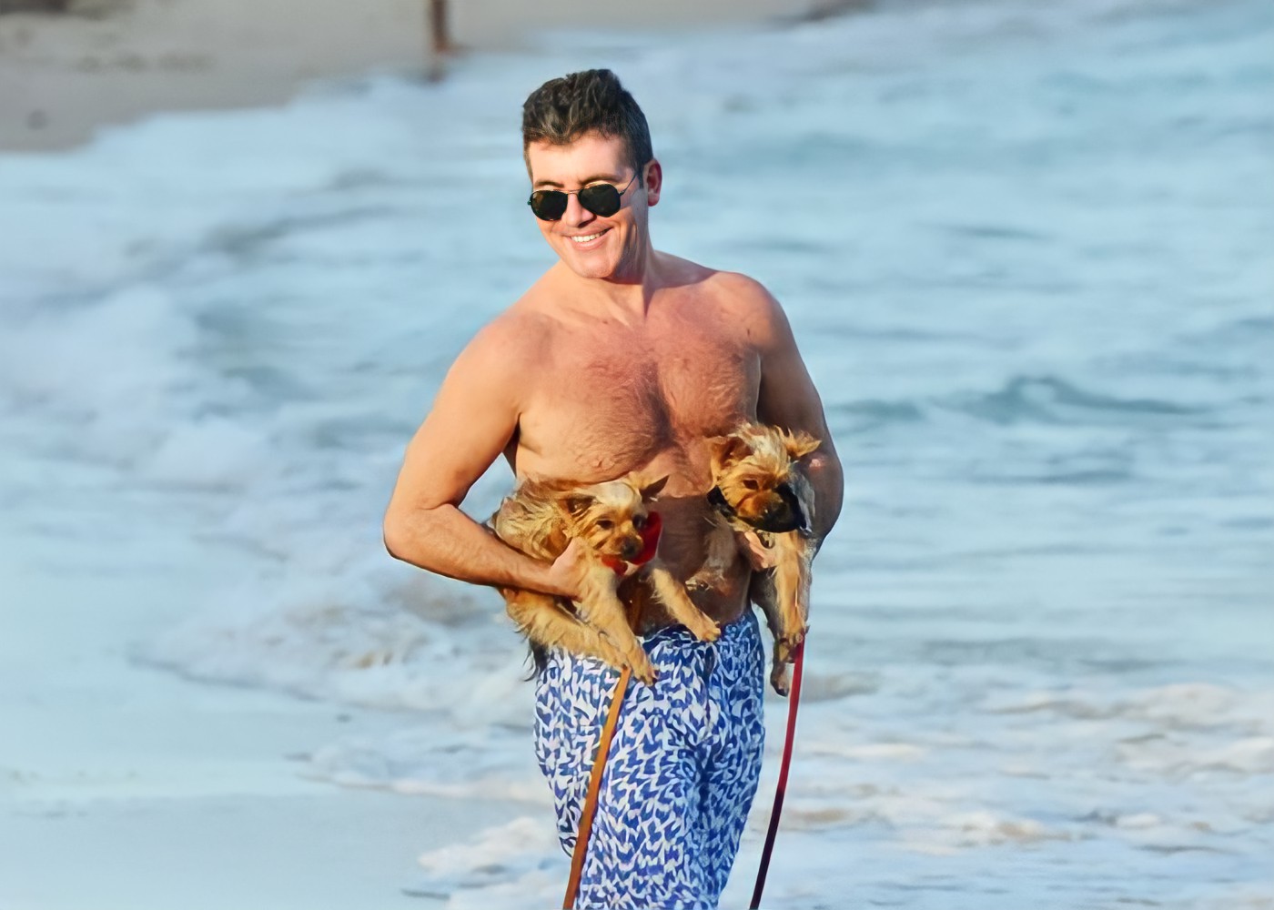 Simon Cowell and Yorkshire Terrier Dogs, Squiddly and Diddly