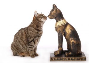 History of Tabby Cats