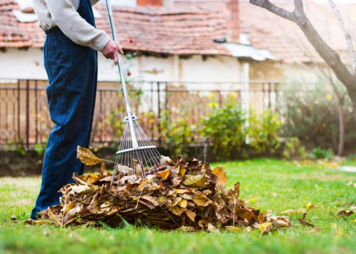 Clean Your Yard And Make Them Coyote-Proof