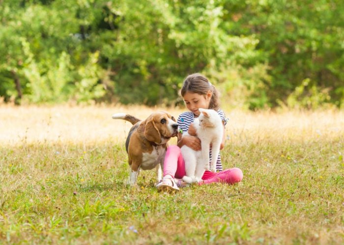 Tip #9: Show Your Pets Equal Affection When Together