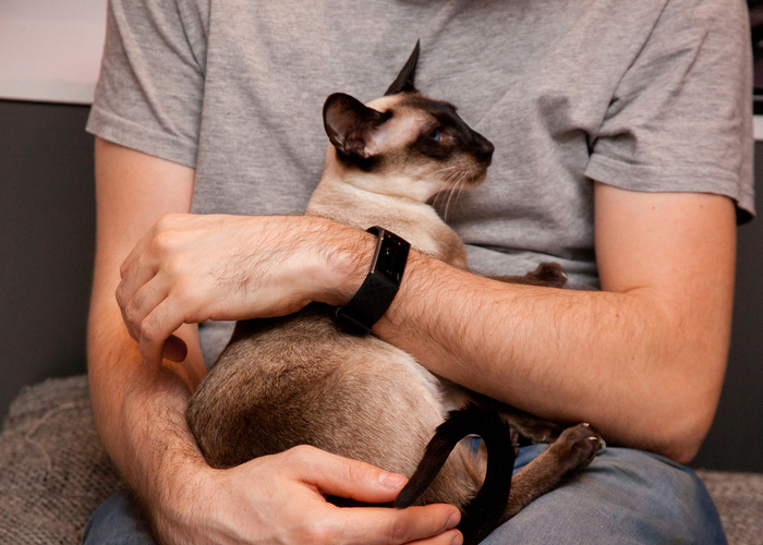 Man hugging a well-behaved cat