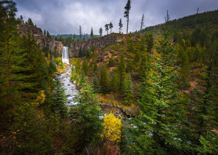 Dog-friendly vacation destination #4- Bend, Oregon