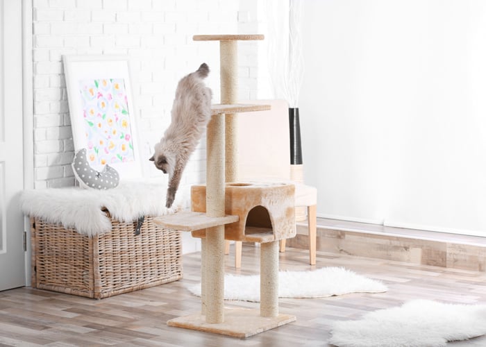 Why Buy a Cat Tree