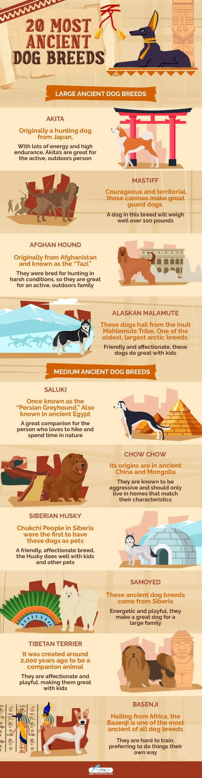 Ancient Dog Breeds