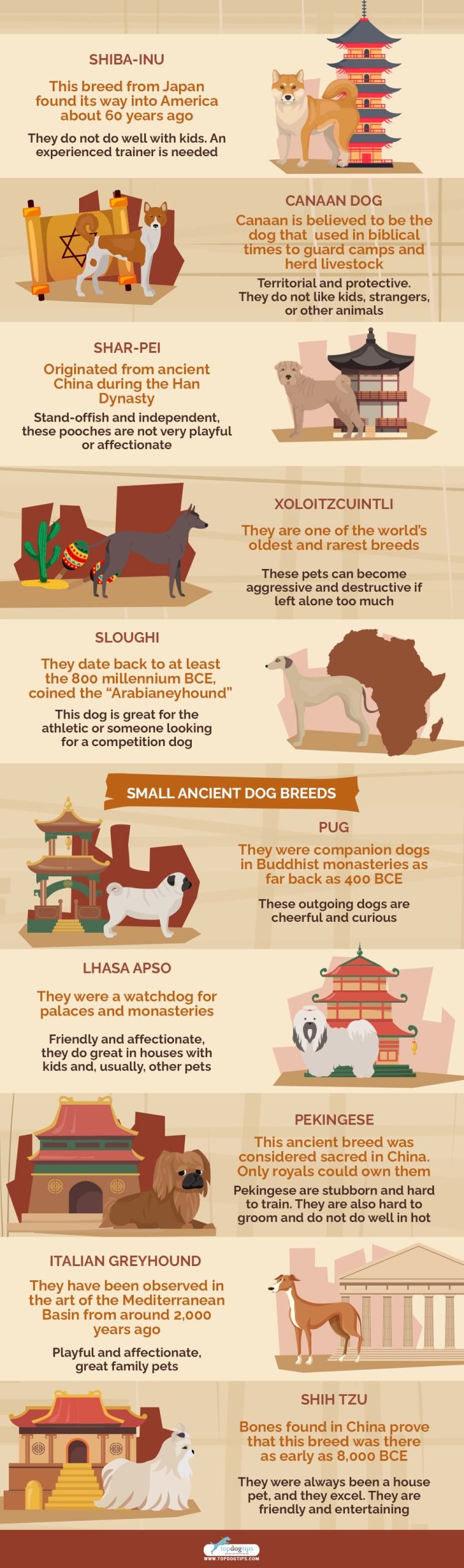 Ancient Dog Breeds