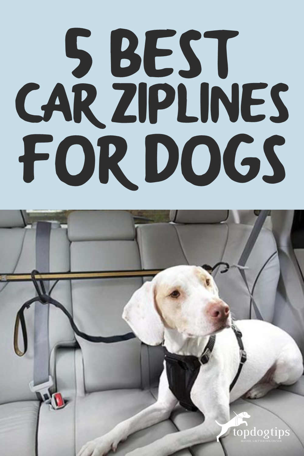 Car Ziplines for Dogs