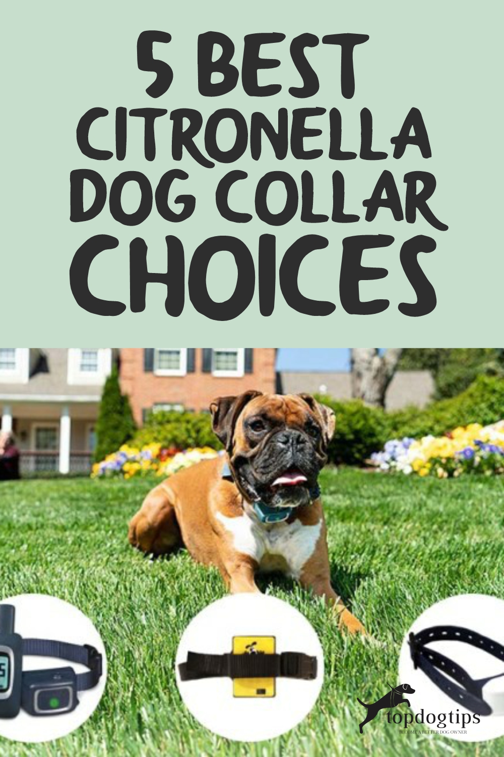 Citronella Dog Collar 