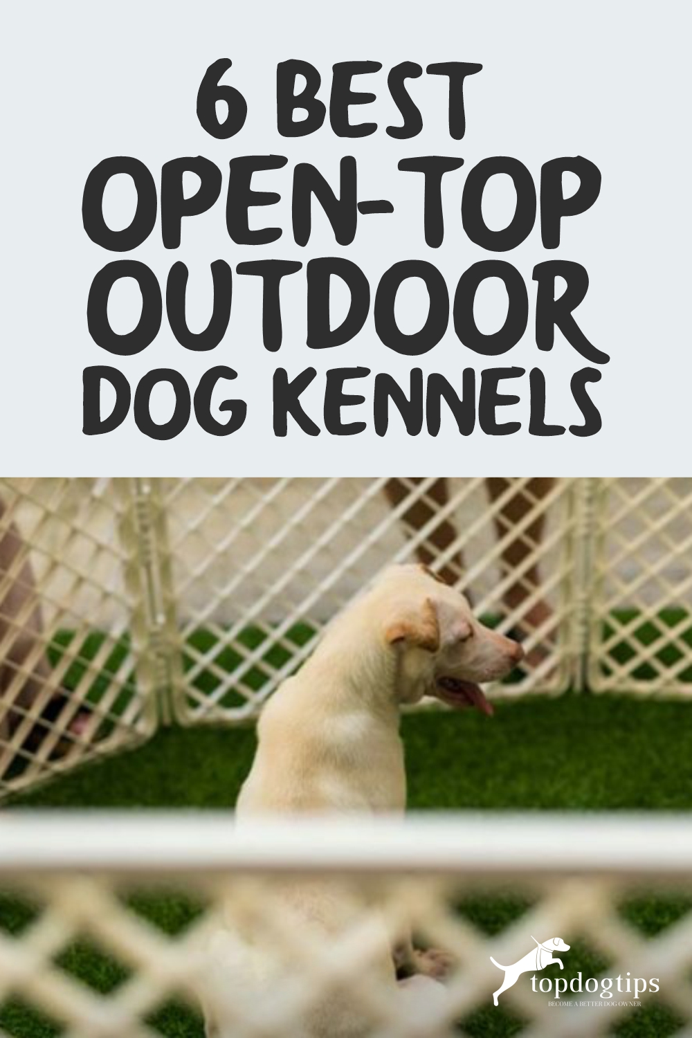 Open-Top Outdoor Dog Kennels