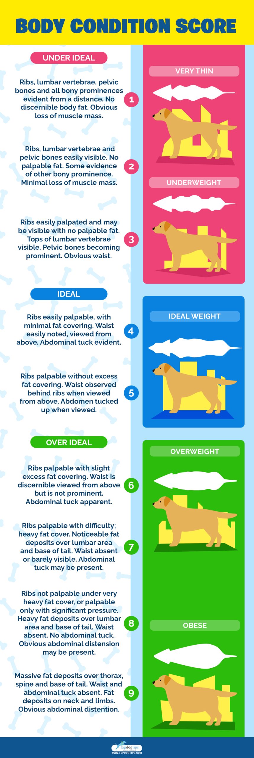 Weight Gain Supplements for Dogs