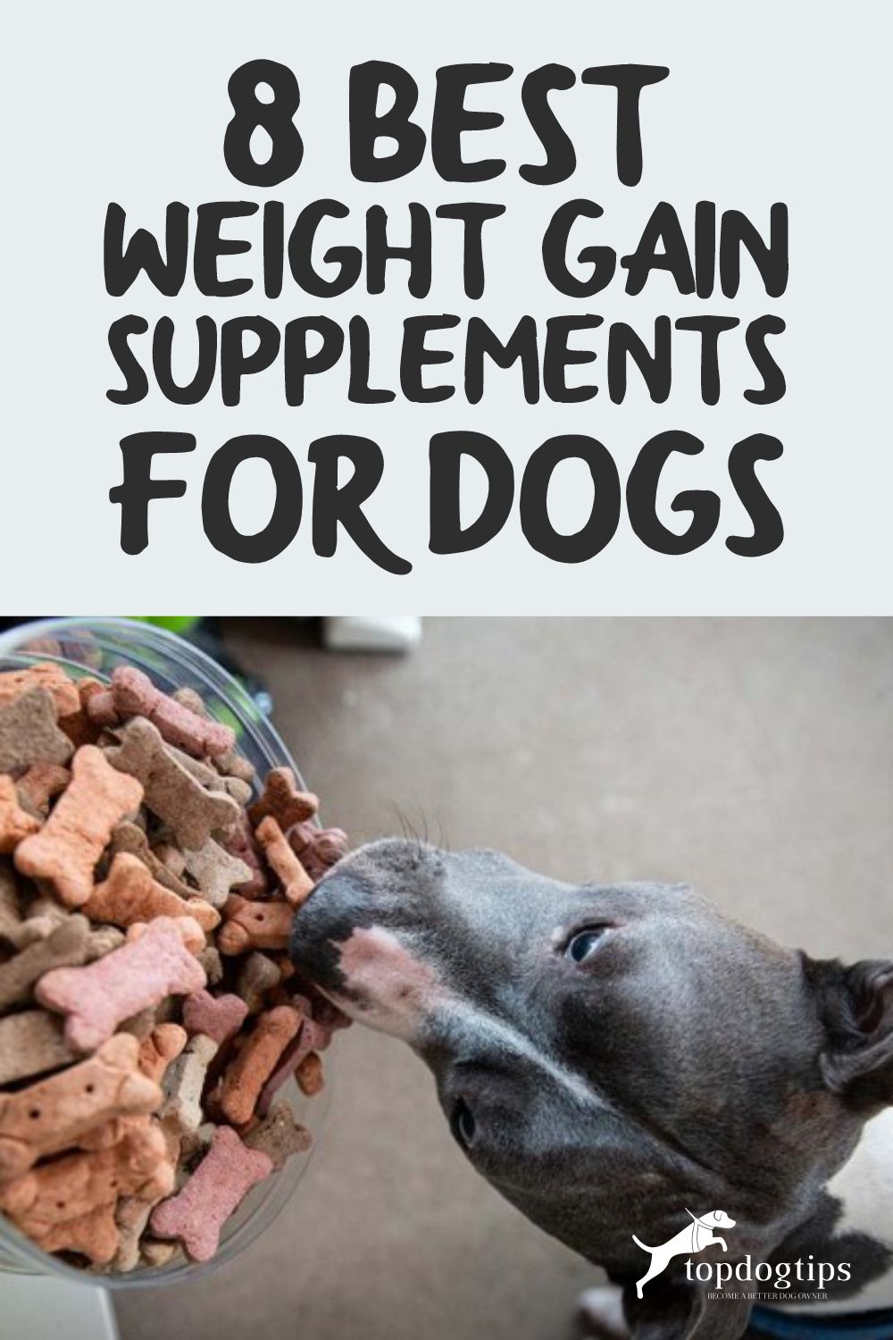 8 Best Weight Gain Supplements for Dogs