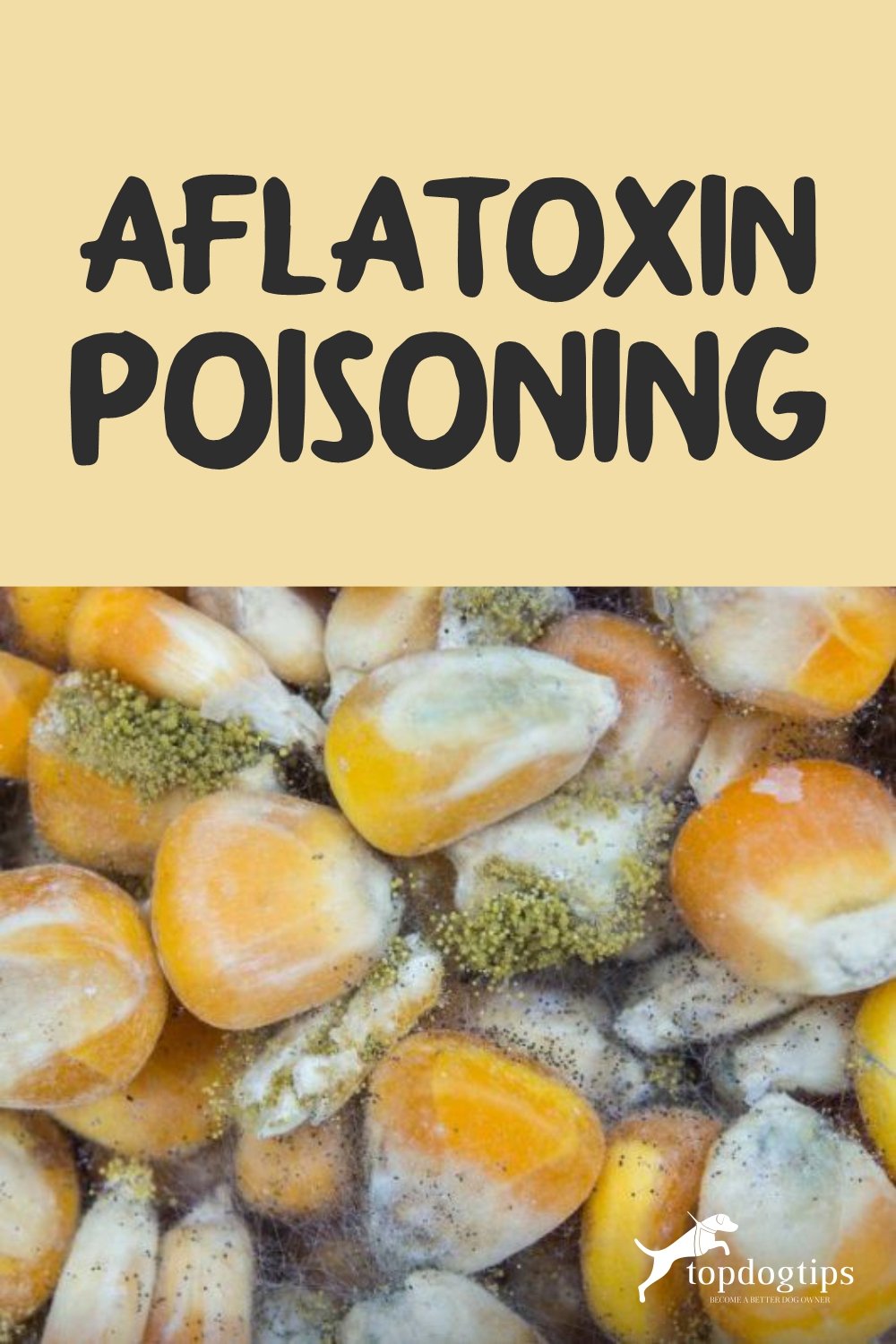 Aflatoxin Poisoning