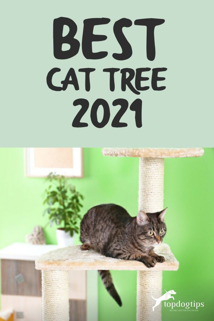 Best Cat Tree 2021