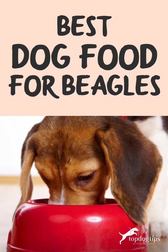 Best Dog Food for Beagles