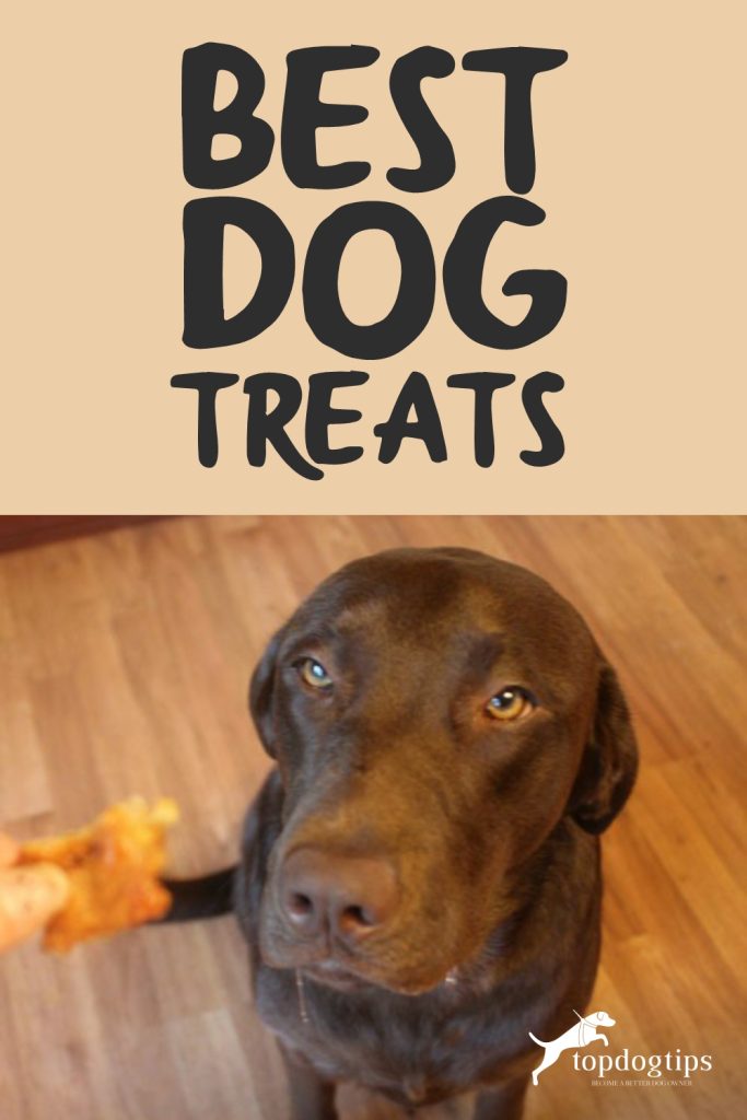 Best Dog Treats