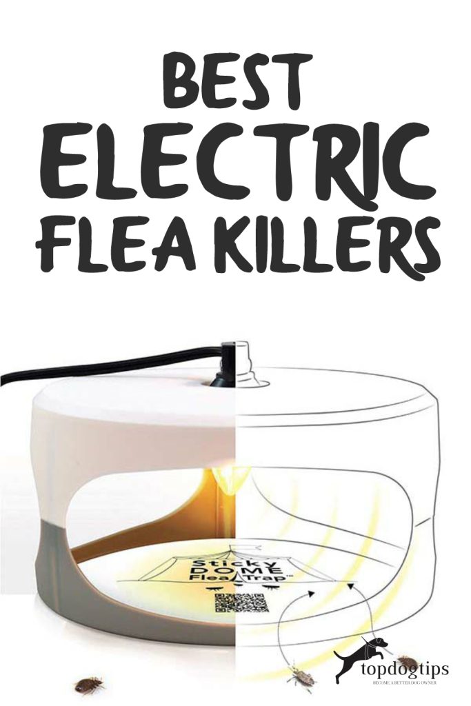 Best Electric Flea Killers