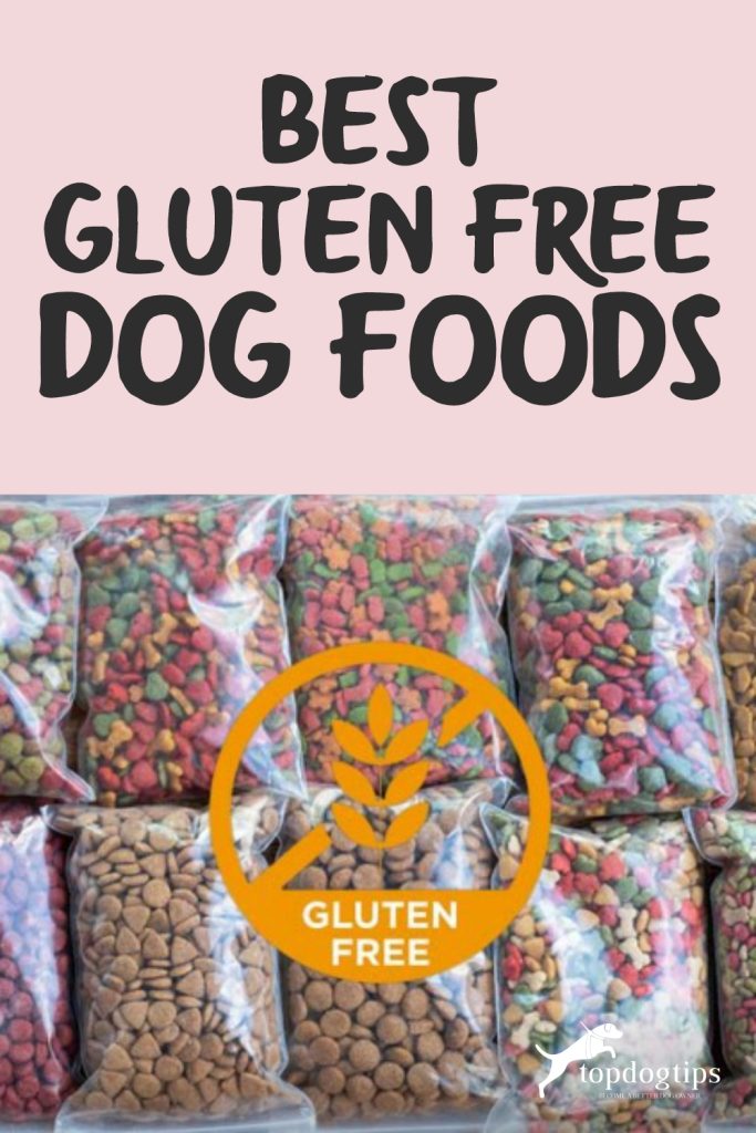 Best Gluten Free Dog Foods