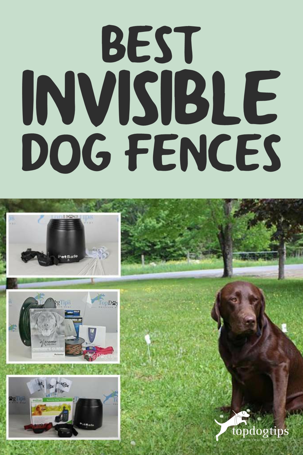 Best Invisible Dog Fences