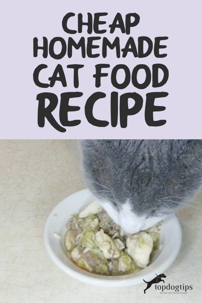 Cheap Homemade Cat Food Recipe