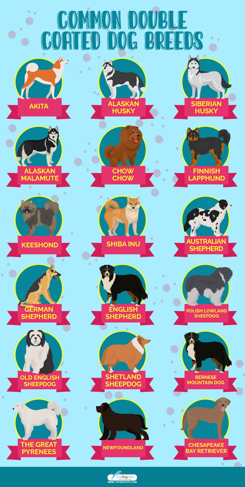 Double Coated Dog Breeds 