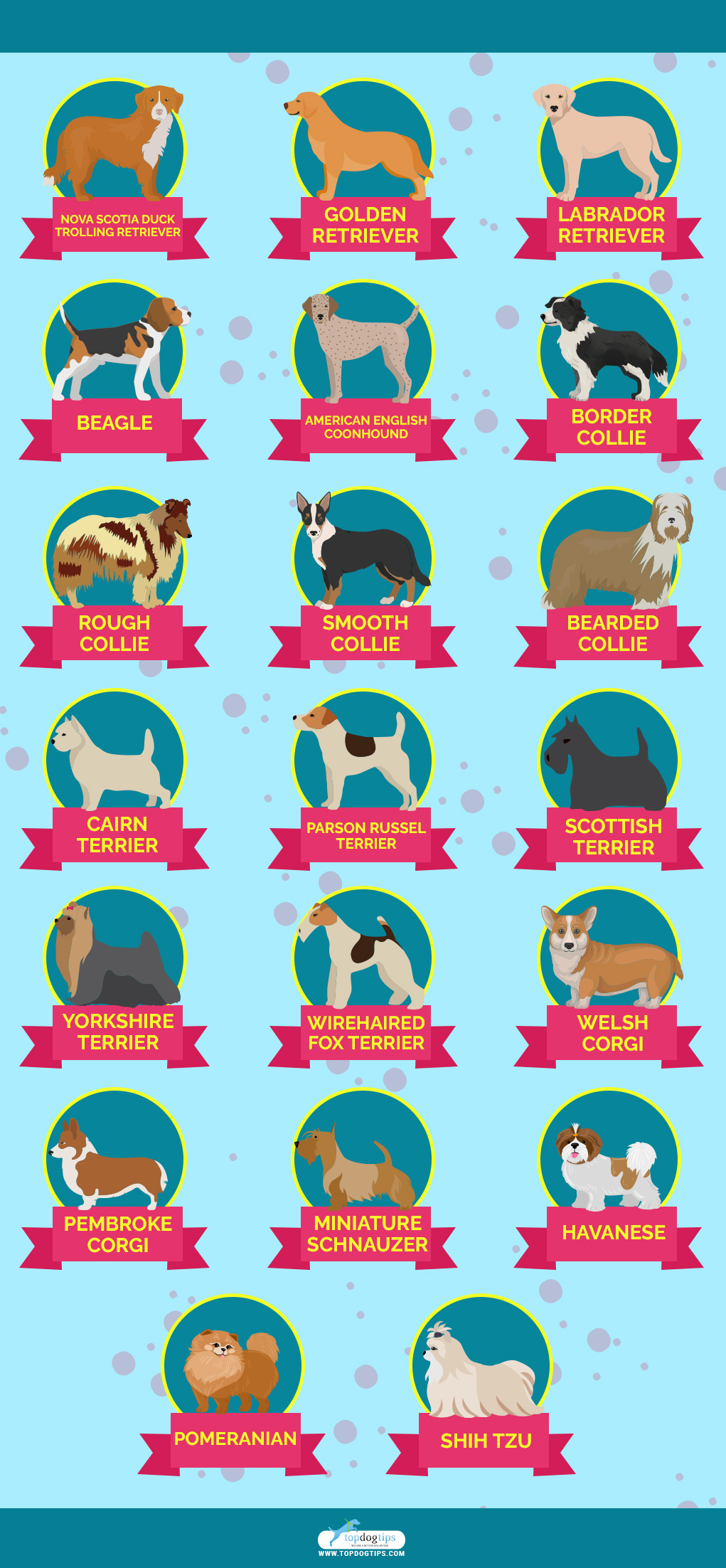 Double Coated Dog Breeds