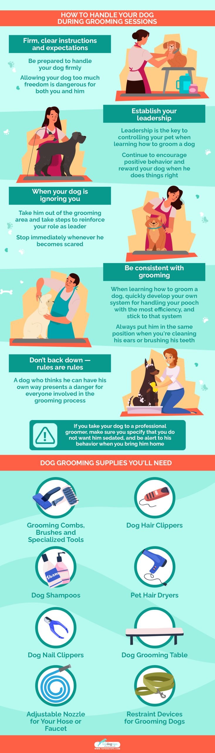 Groom a Dog