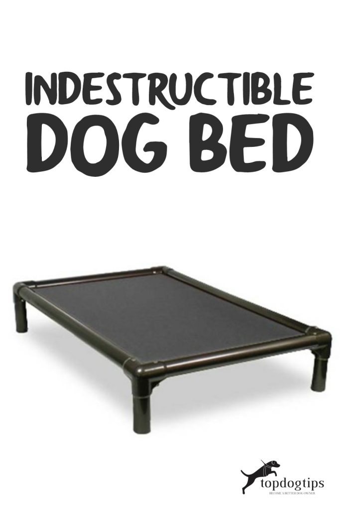 Indestructible Dog Bed