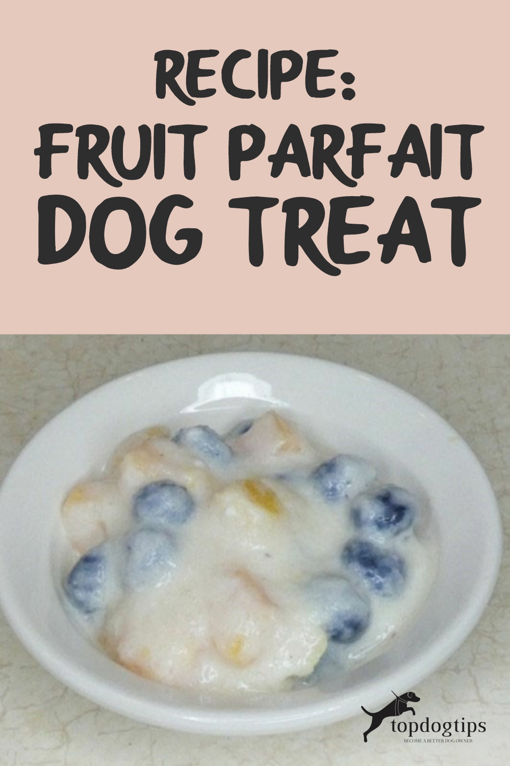 Recipe Fruit Parfait Dog Treat