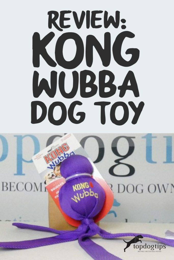 Review KONG Wubba 