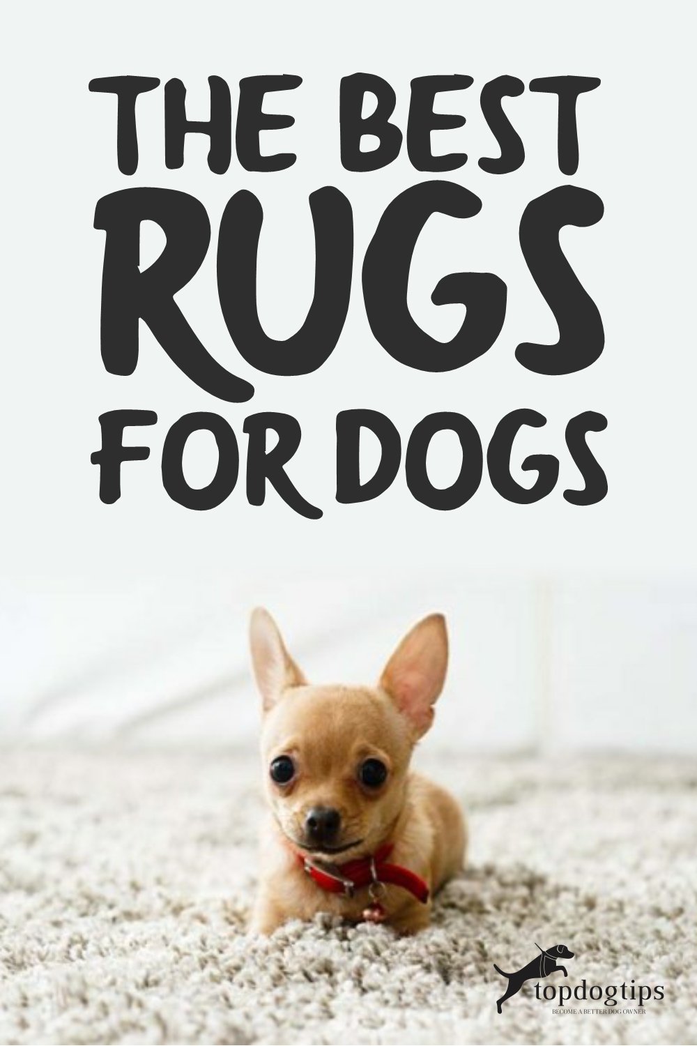 Rugs for Dogs