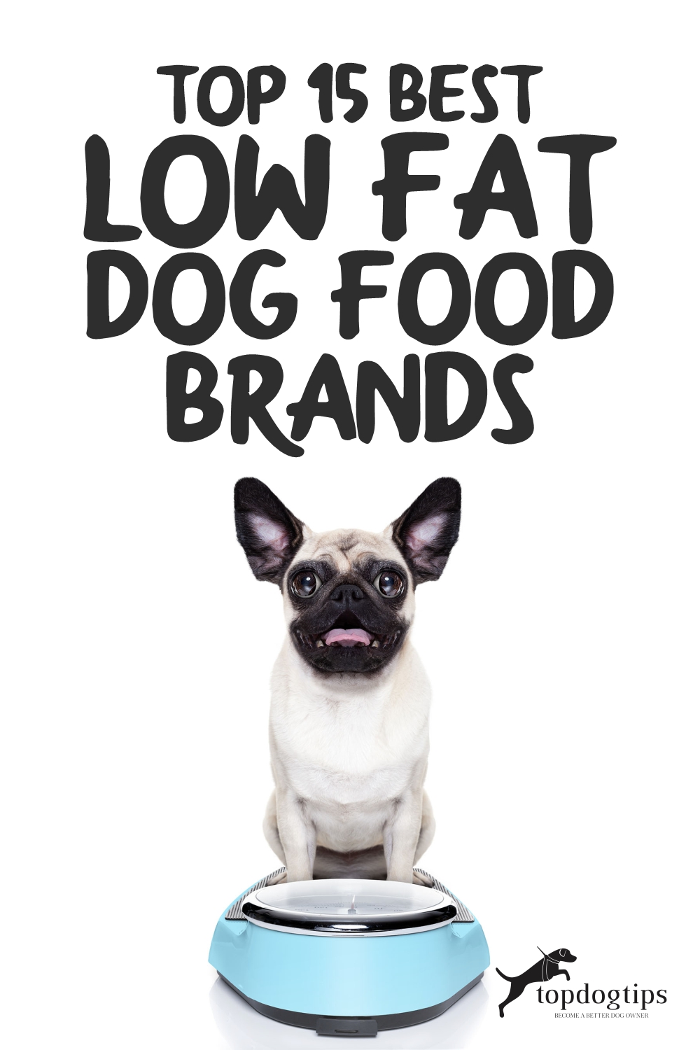 Low Fat Dog Food Brands