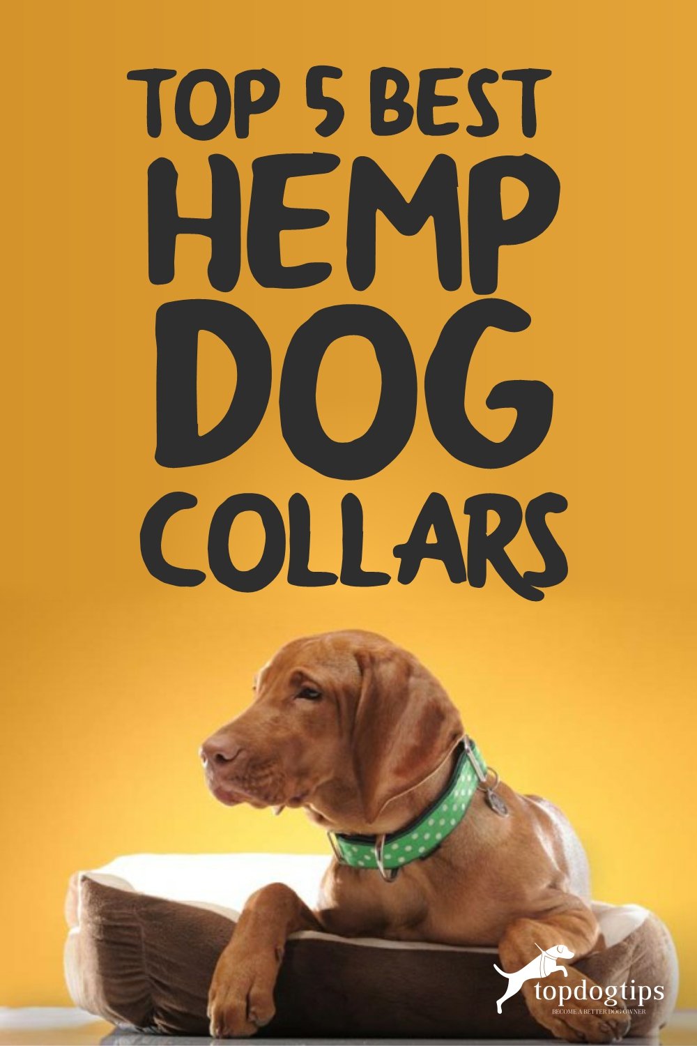 Hemp Dog Collars