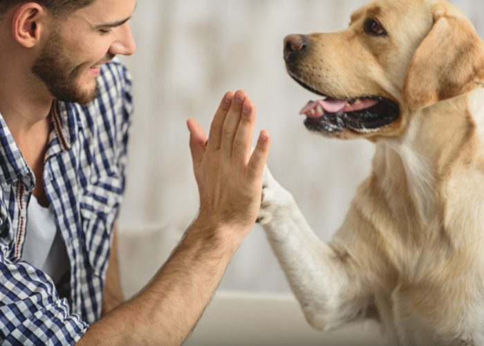 3. Learn Your Dog’s Body Language