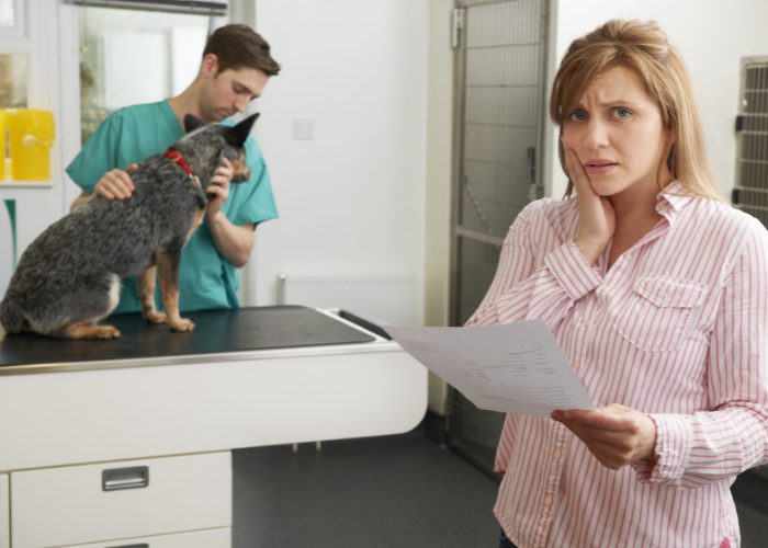 The Rise of Pet Insurance in America