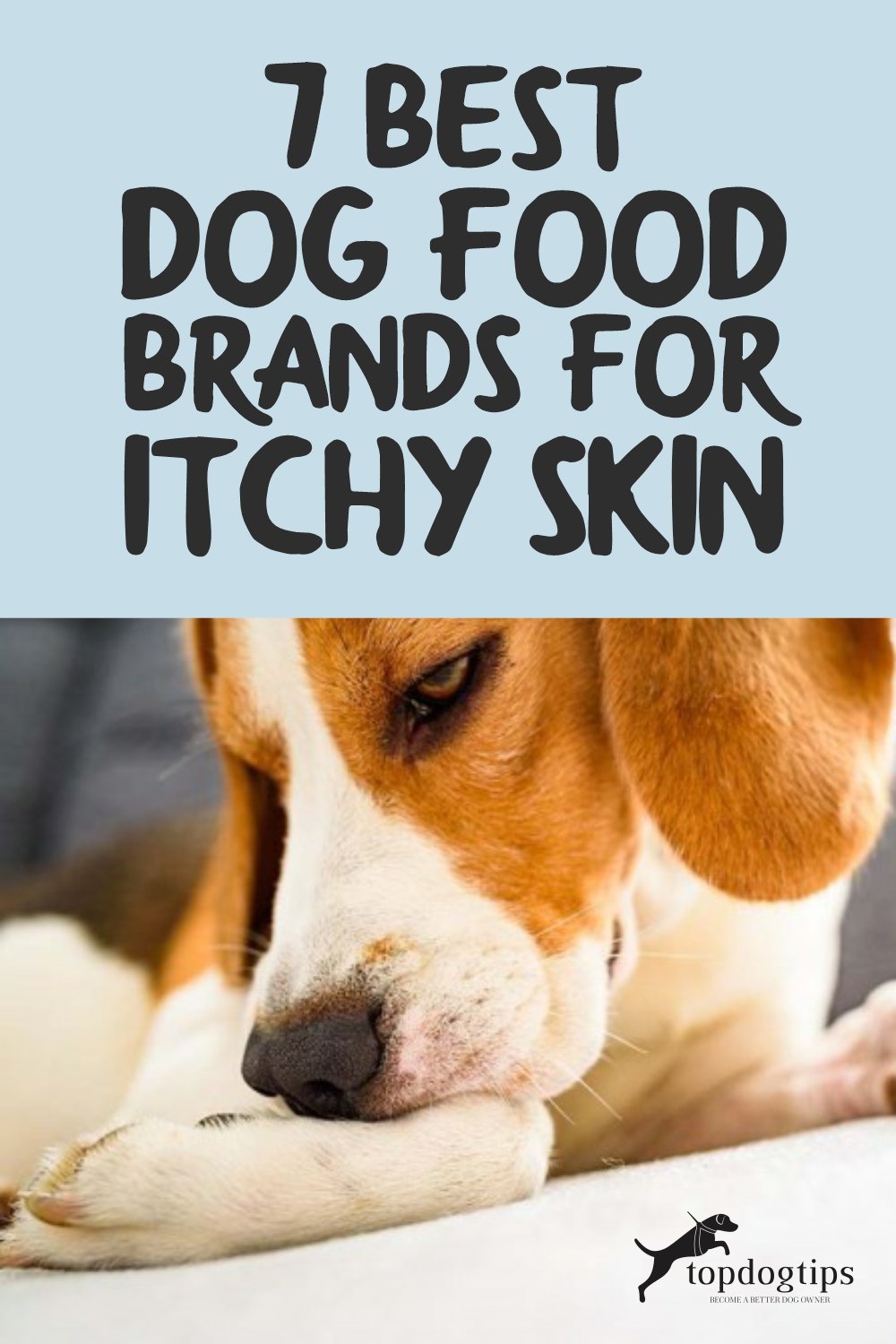 Dog Food Brands for Itchy Skin